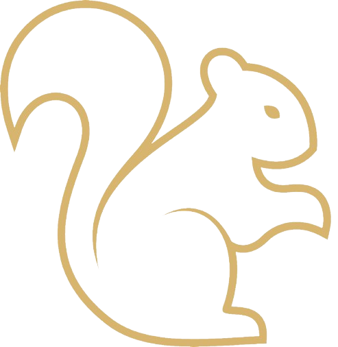 Gold Squirrel Studio